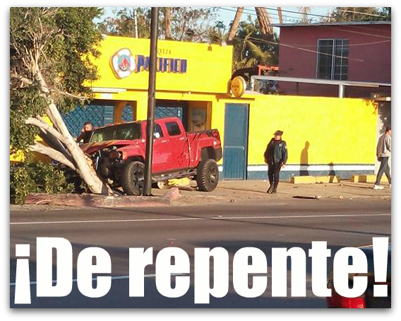 0 a hummer contra laurel de la india