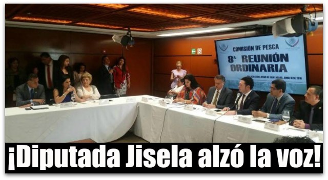 0 a diputada jisela paes congreso mexico df