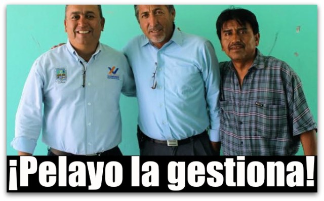 0 a pancho francisco pelayo asuntos indigenas