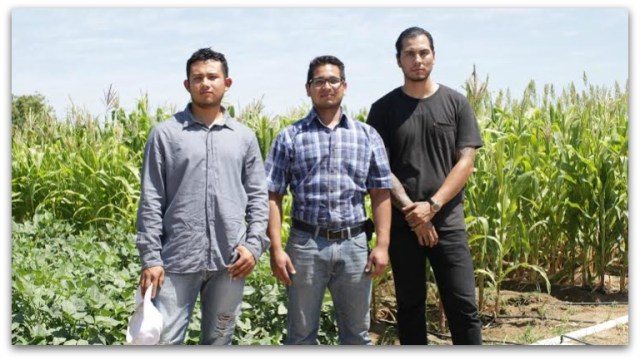 0 a cultivo organicos de la uabcs