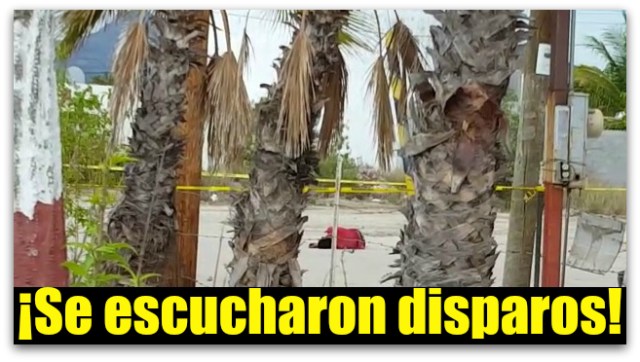 0 a a asesinato en colonia la fuente