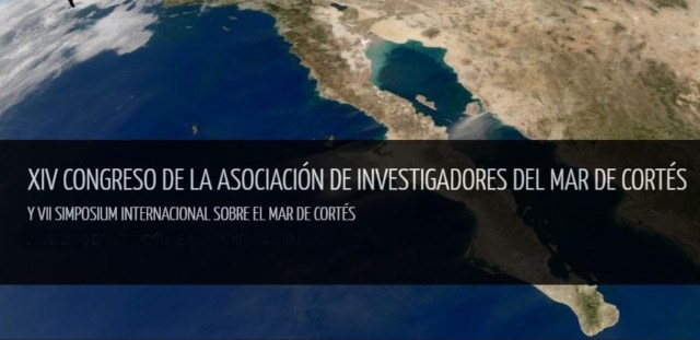 0-a-a-mar-de-cortes