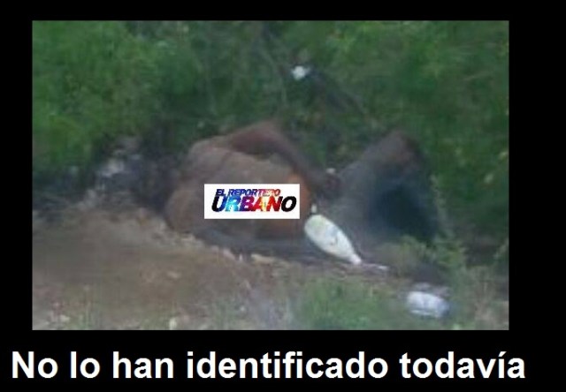0-a-a-muerto-a-orilla-de-la-carretera