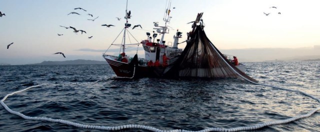 0-a-pesca-ilegal-baja-california-sur