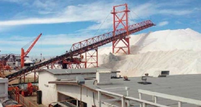 0-a-a-a-exportadora-de-sal-boletin