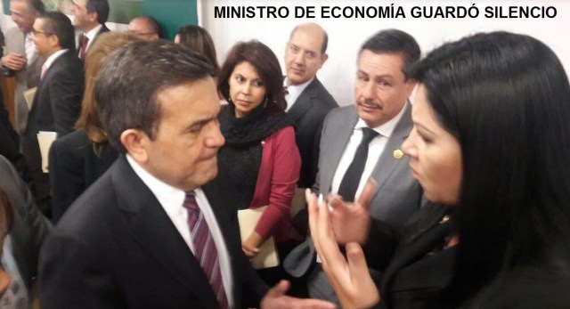 jisela-paes-ministro-de-economia