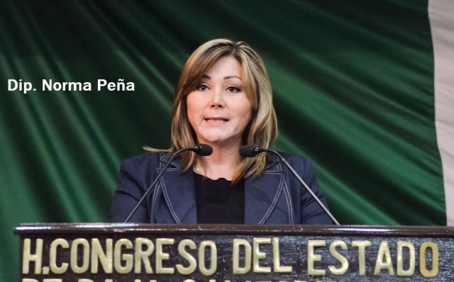 0-a-a-a-ley-organica-upn-norma-pena