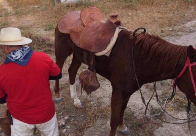 0-a-a-cabalgata-san-javier