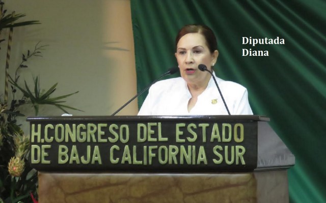 0-a-a-diputada-diana