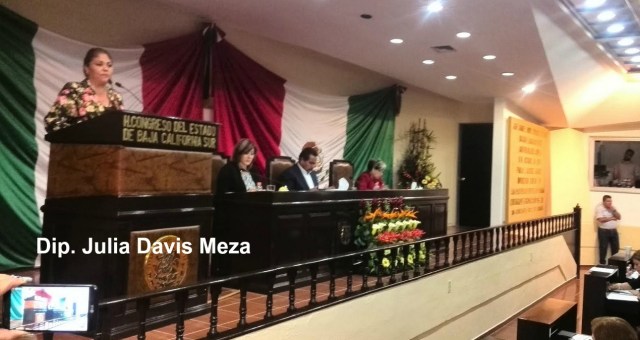 0-a-a-diputada-julia-davis-meza