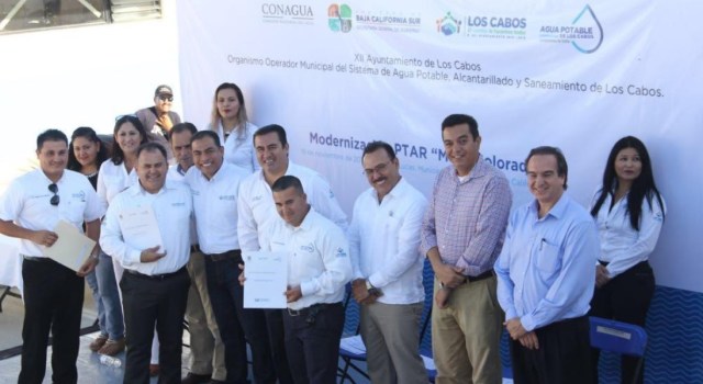 0-a-a-planta-de-mesa-colorada-2