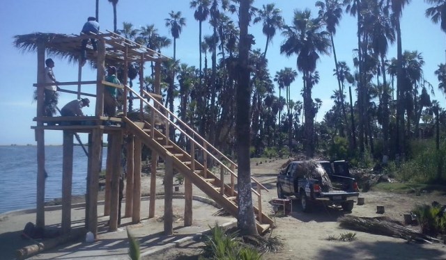 0-a-a-a-a-estero-san-jose-del-cabo