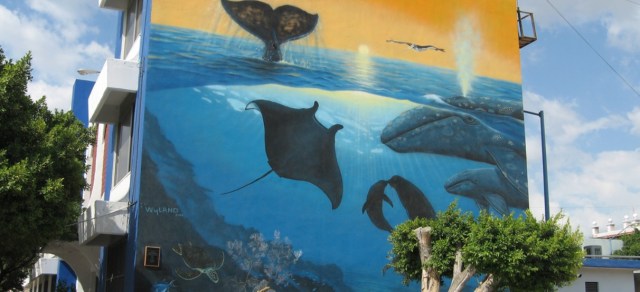 0-a-a-wyland-mural-la-paz-bcs