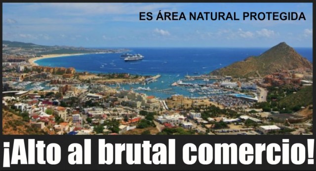 0-a-a-cabo-san-lucas-decreto