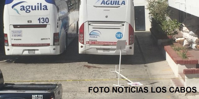 0-a-a-a-a-autobuses-aguila
